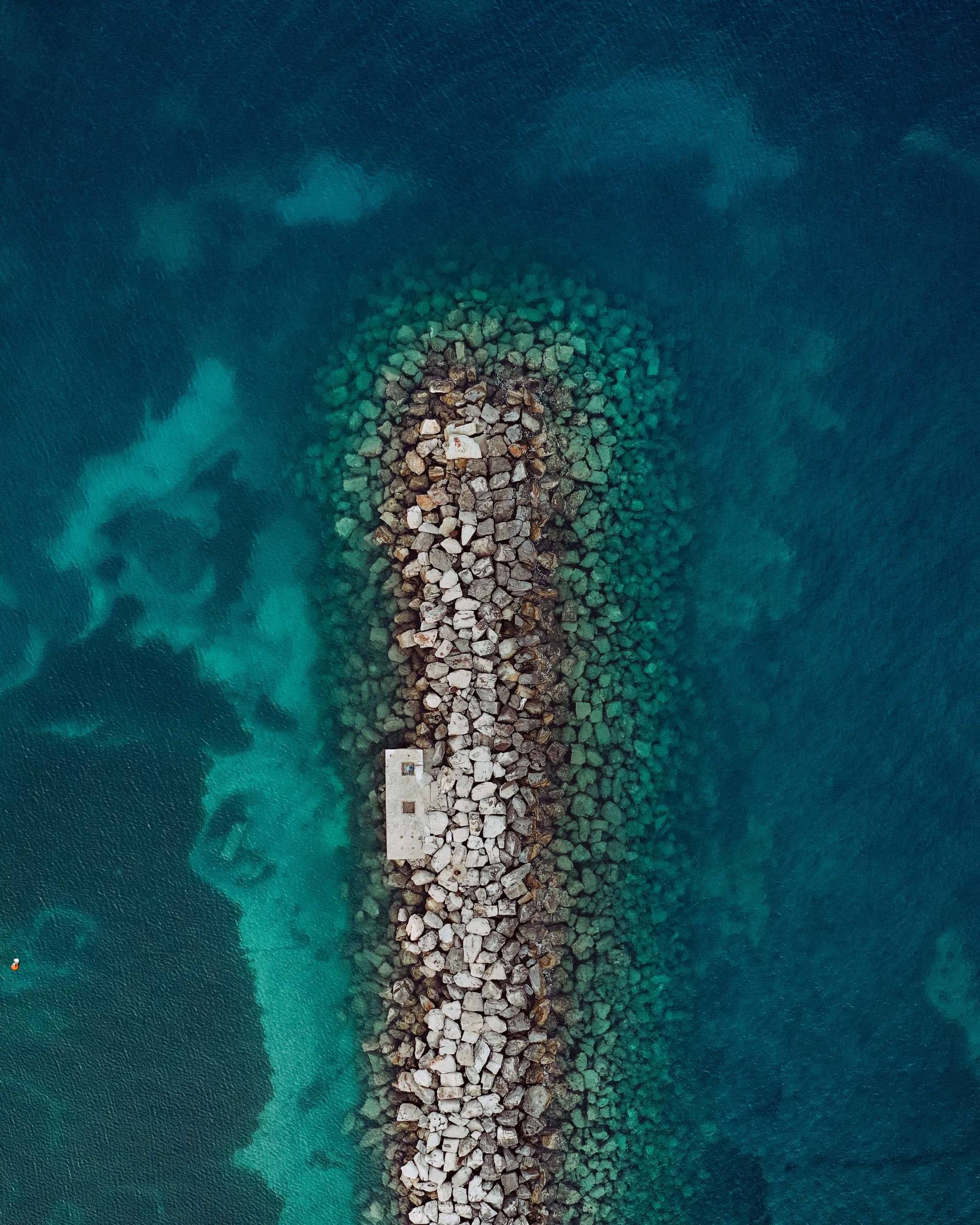 大海椰树壁纸壁纸预览