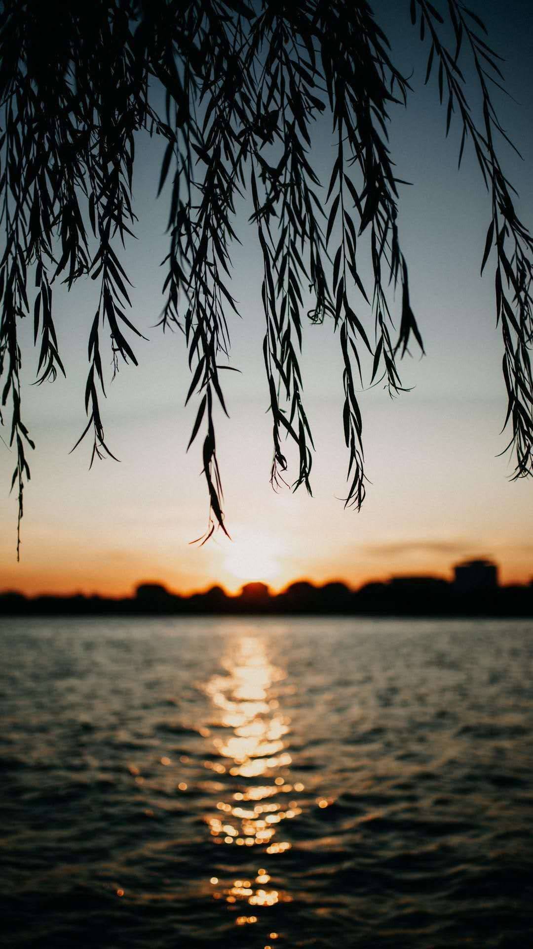 海浪轻拍，平板上的度假天堂：免费海滩美景壁纸集详细内容1