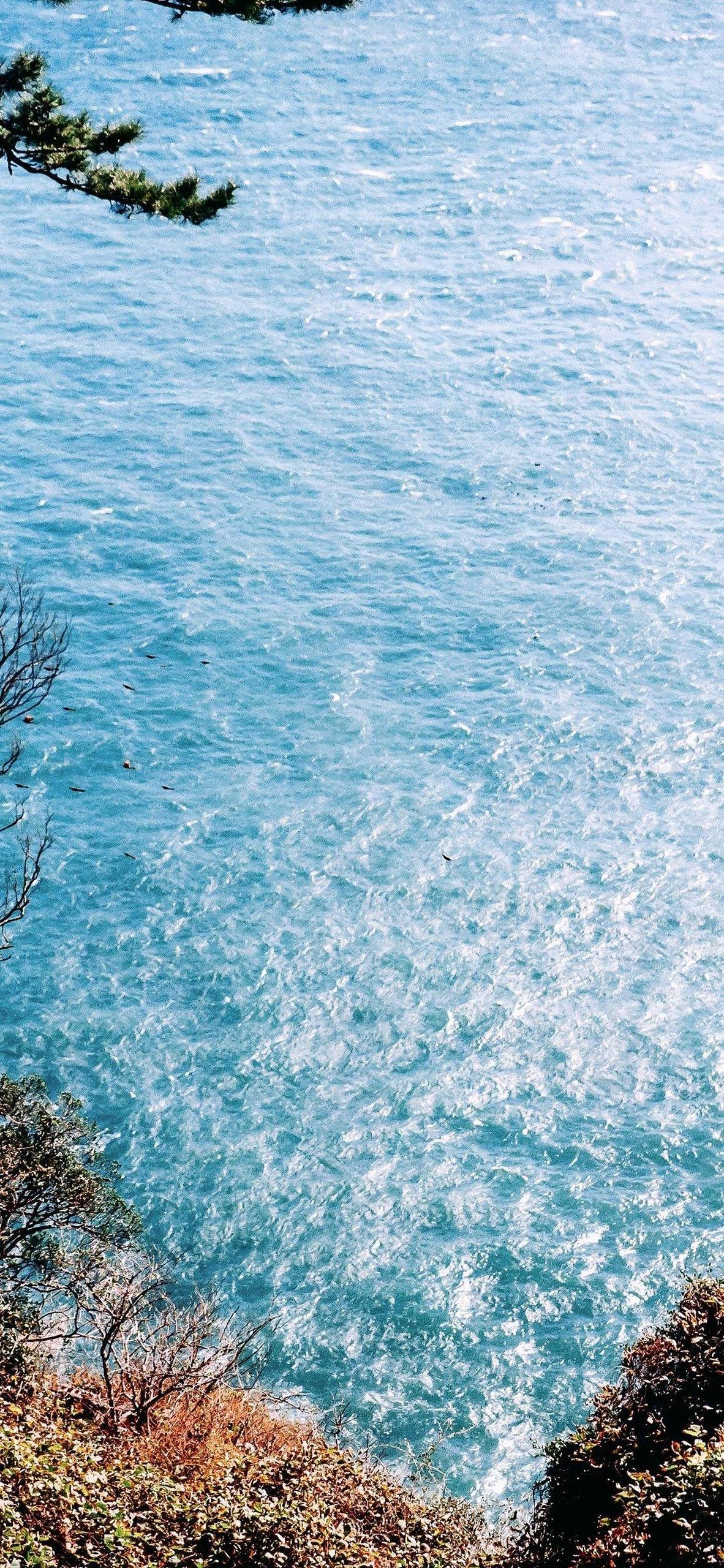 壁纸大海人海：海滩美景的视觉盛宴，护眼壁纸的超还原之旅详细内容1