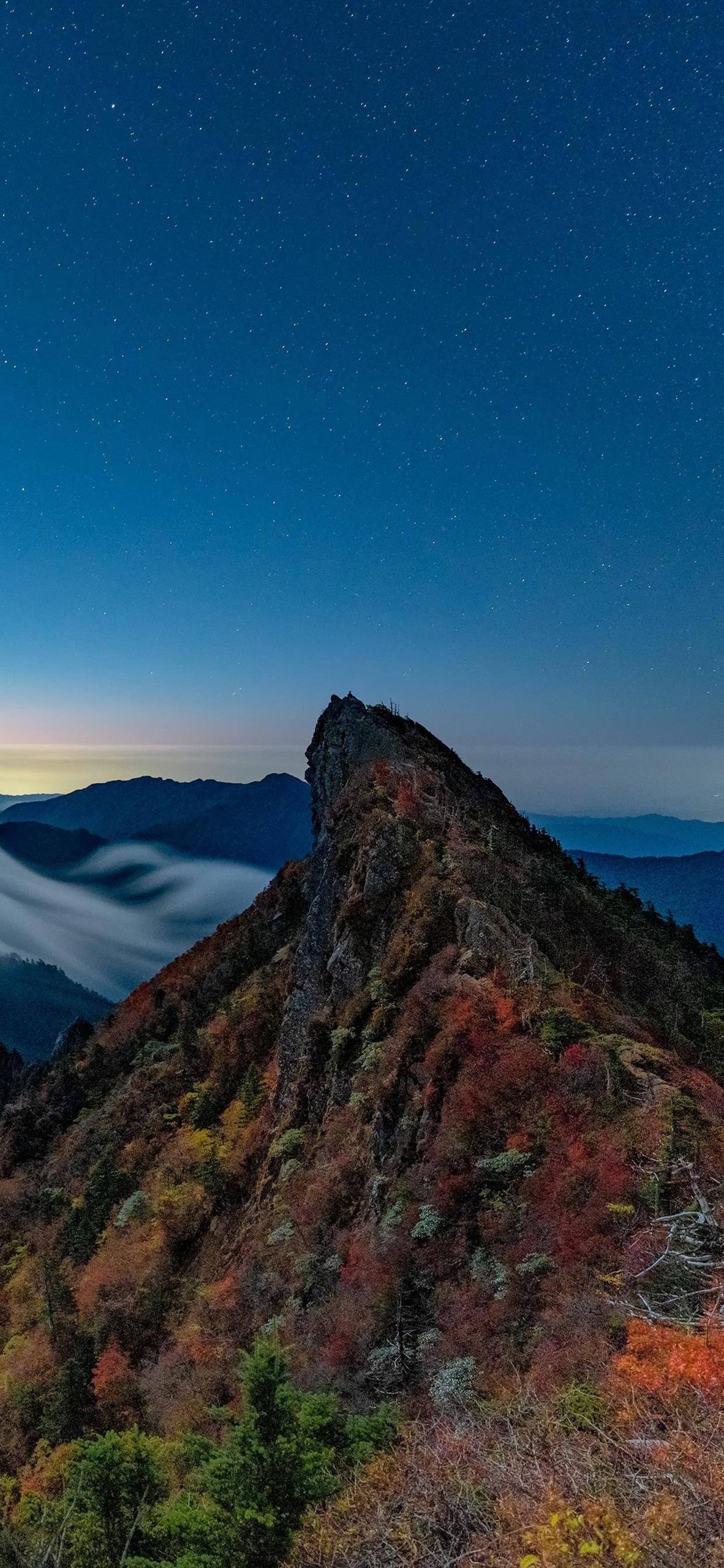 湖光山色：粉色梦幻湖泊的动态壁纸之旅详细内容2