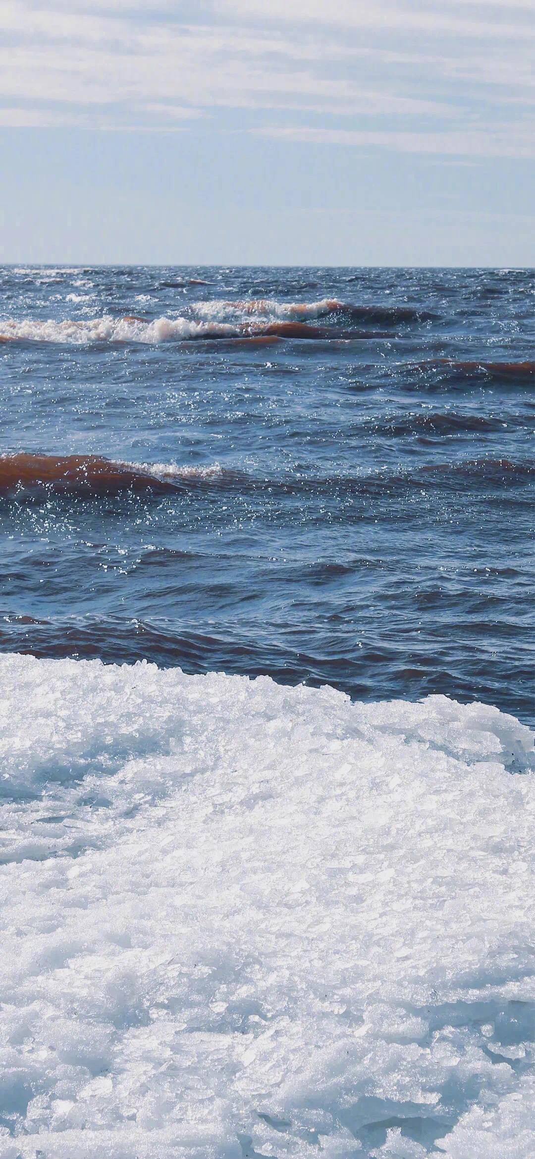 海边海鸥日落壁纸壁纸预览