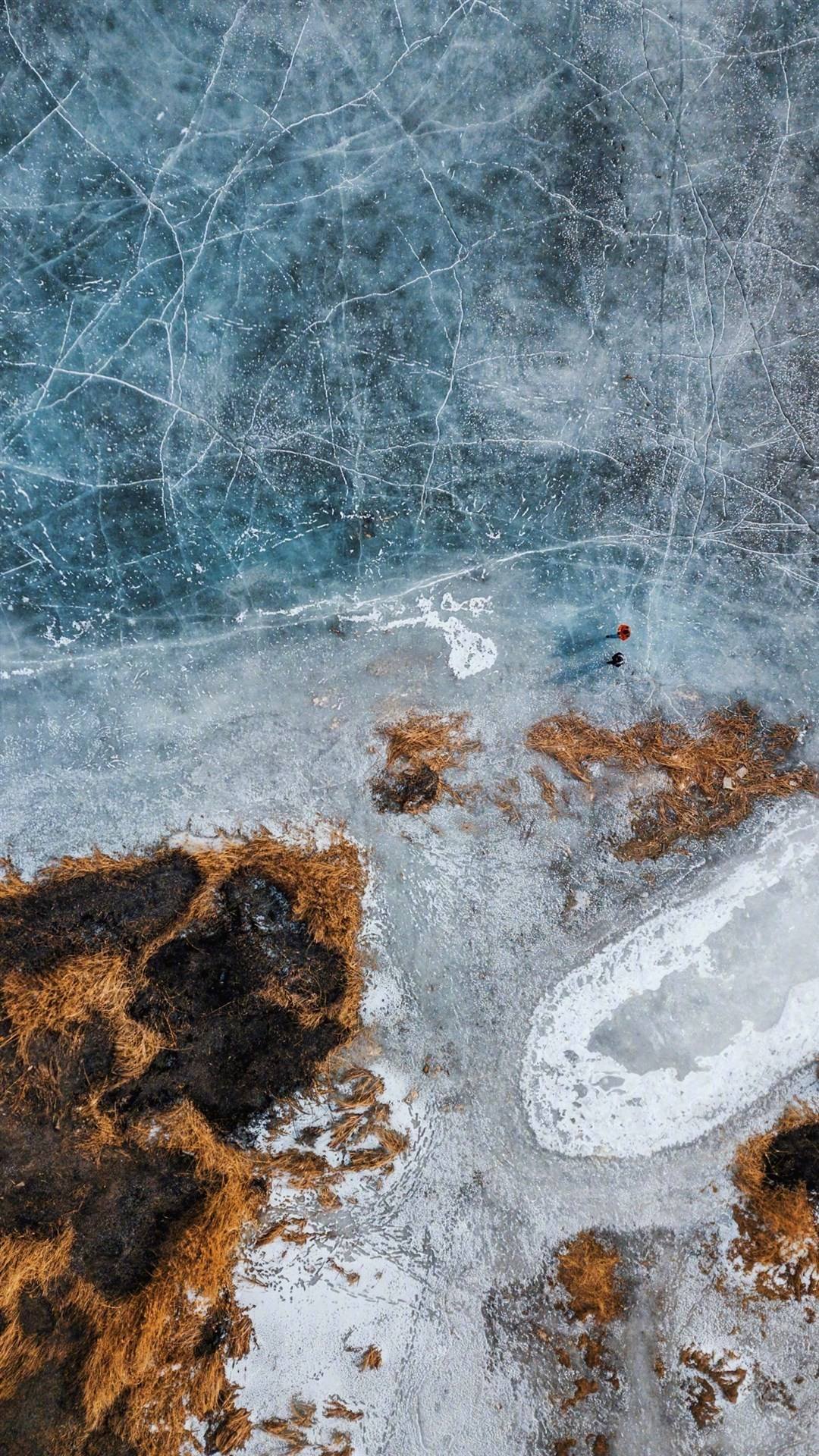 壁纸魔法森林：免费下载自然奇境，手机变身绿野仙踪详细内容2