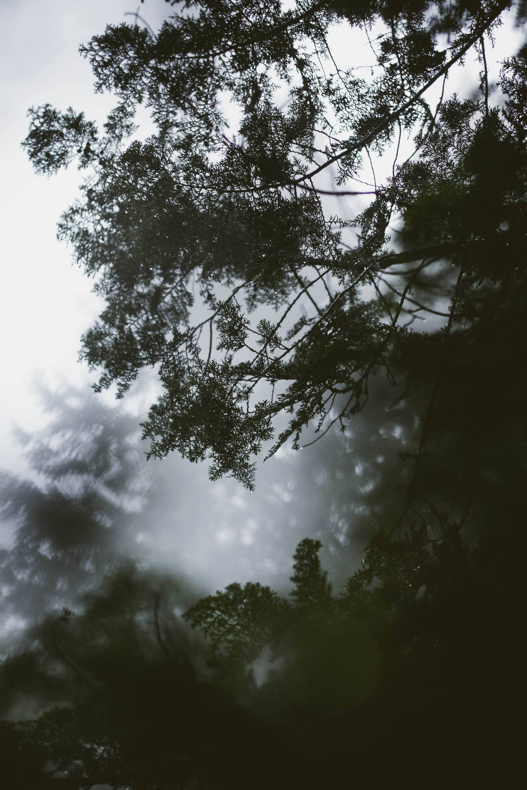 绿水青山间，一程山水一程人生详细内容1