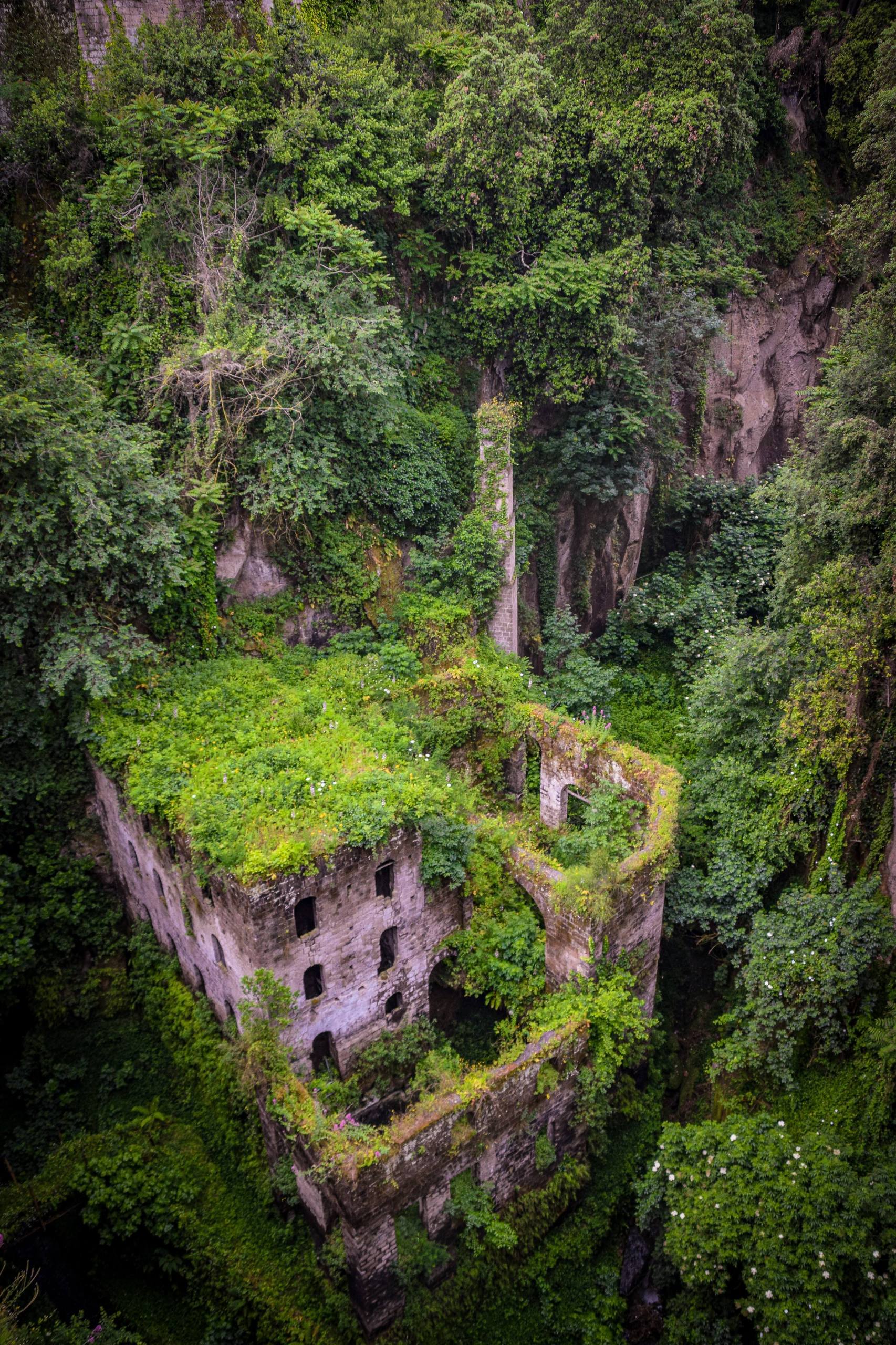 草地竖屏壁纸壁纸预览