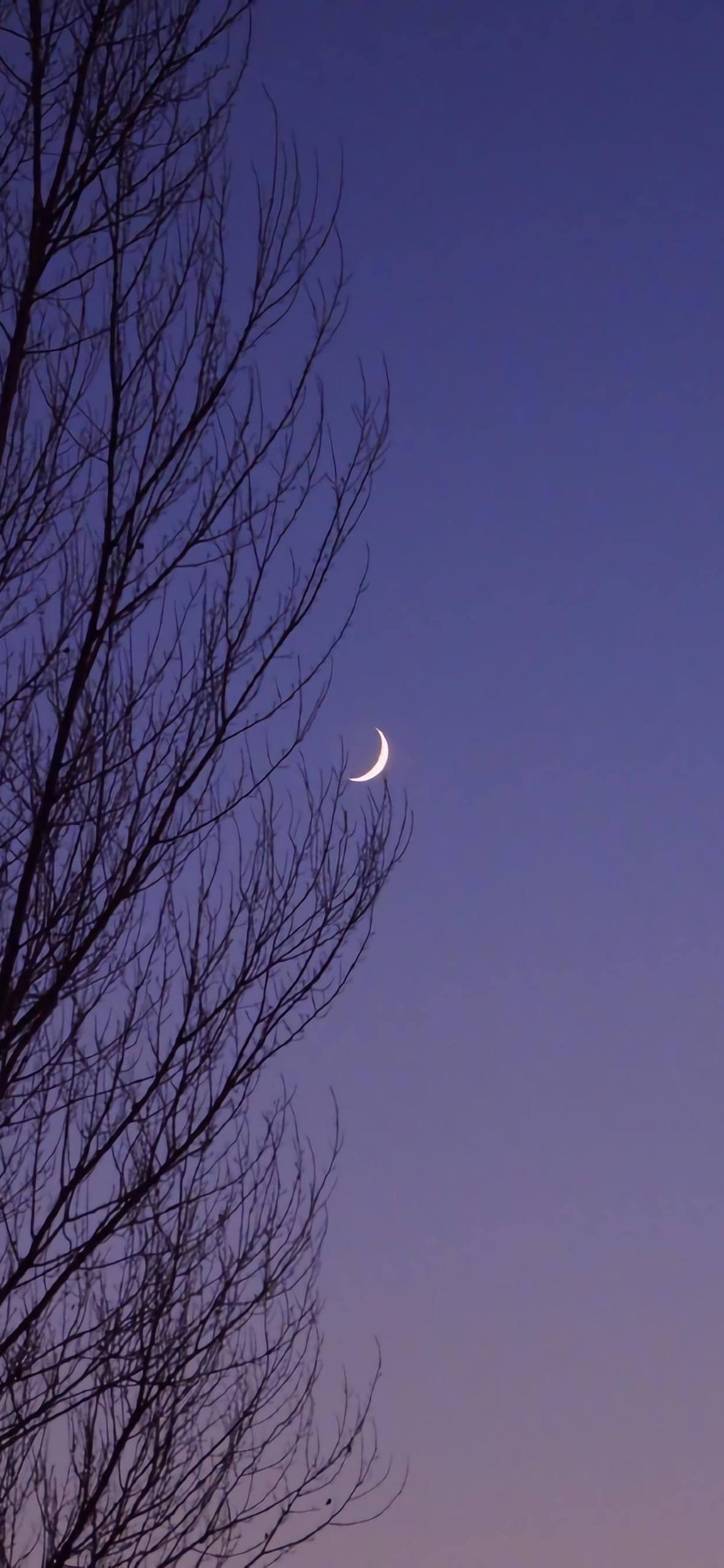 星河漫游：唯美星空壁纸的二次元奇幻之旅详细内容1