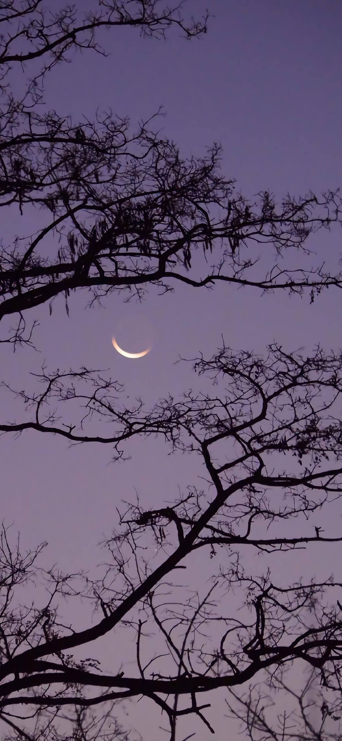 星河漫游：唯美星空壁纸带你穿越银河系详细内容1