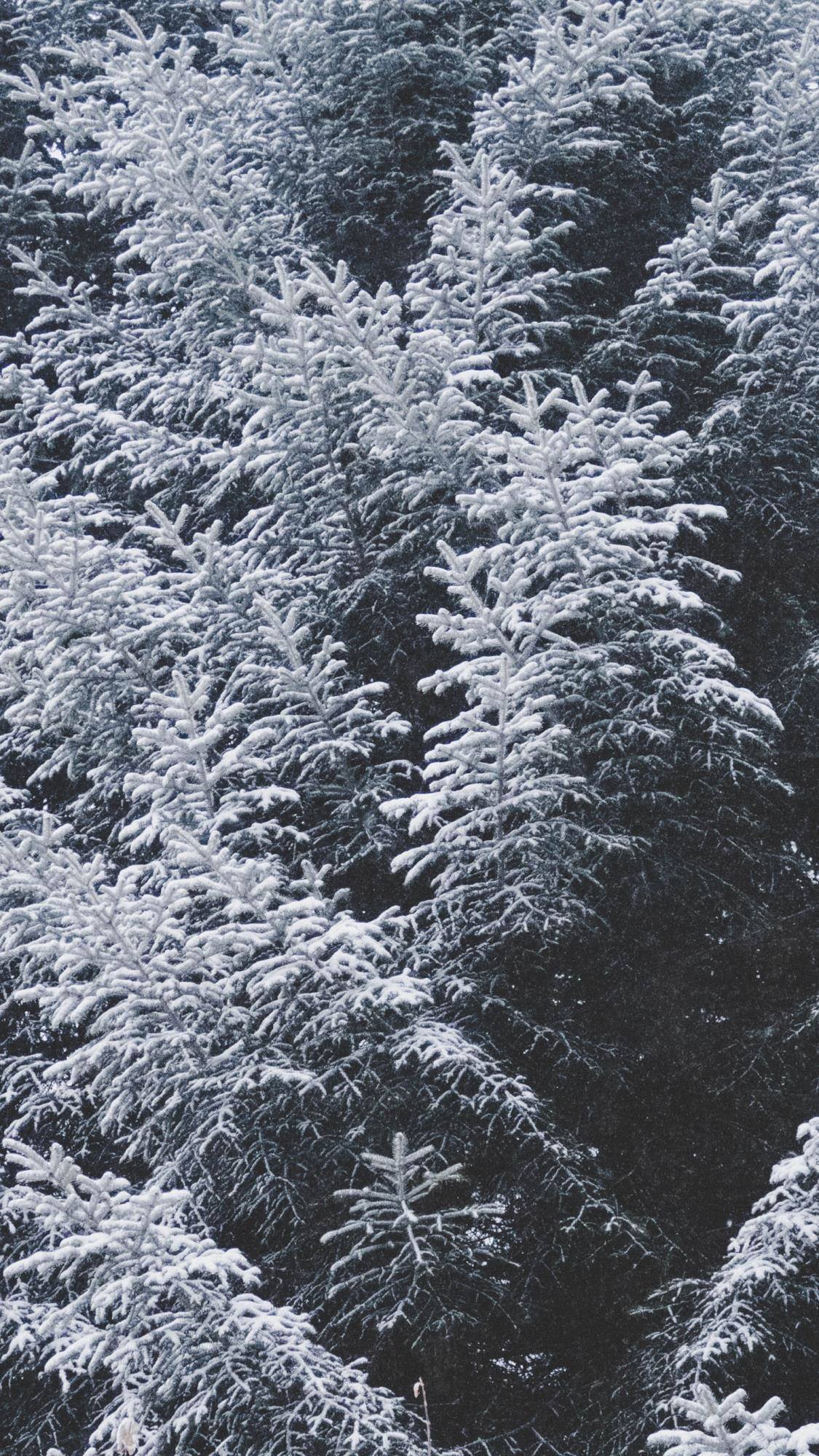 北面雪山壁纸壁纸预览