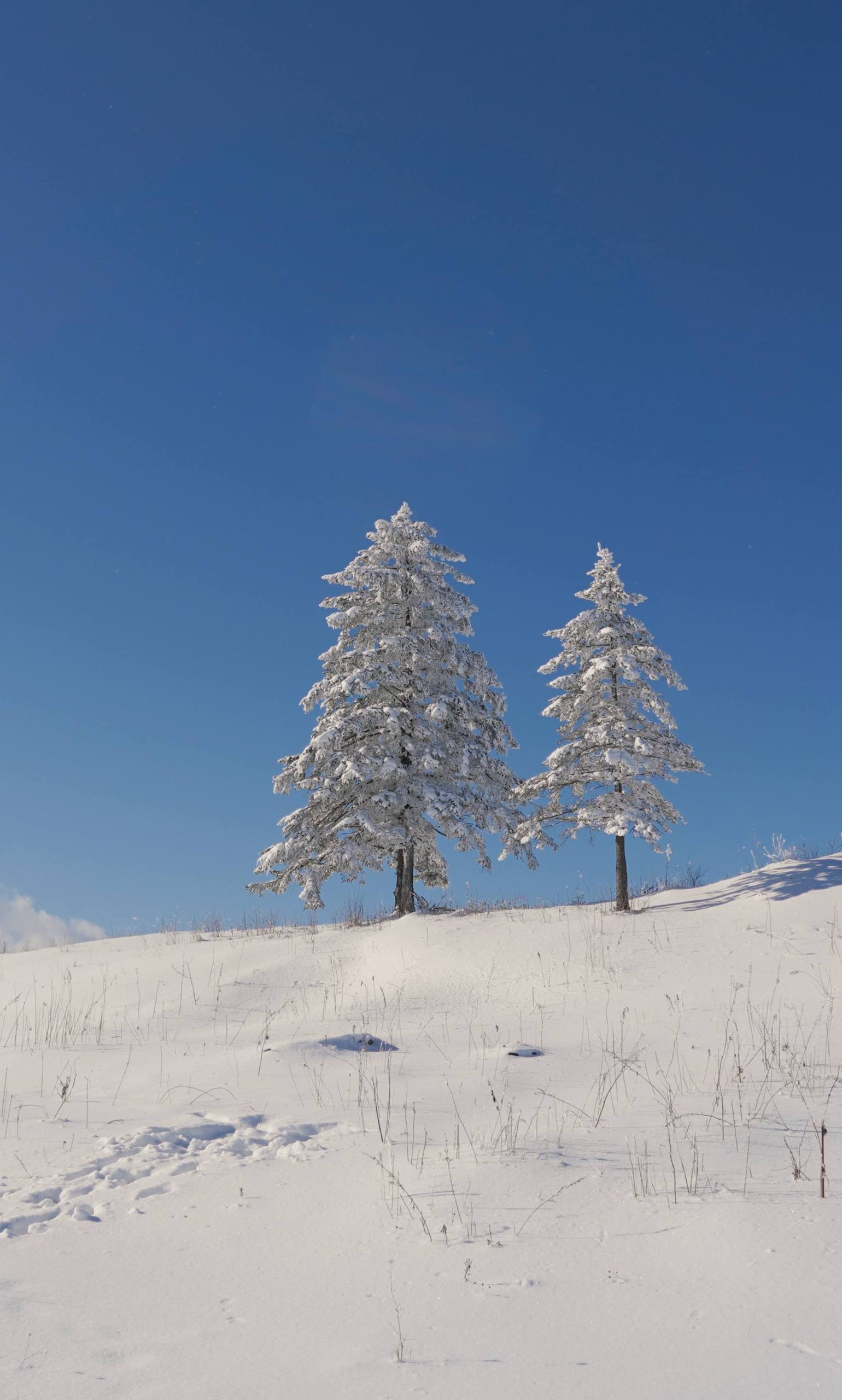 男生手机壁纸雪山壁纸预览