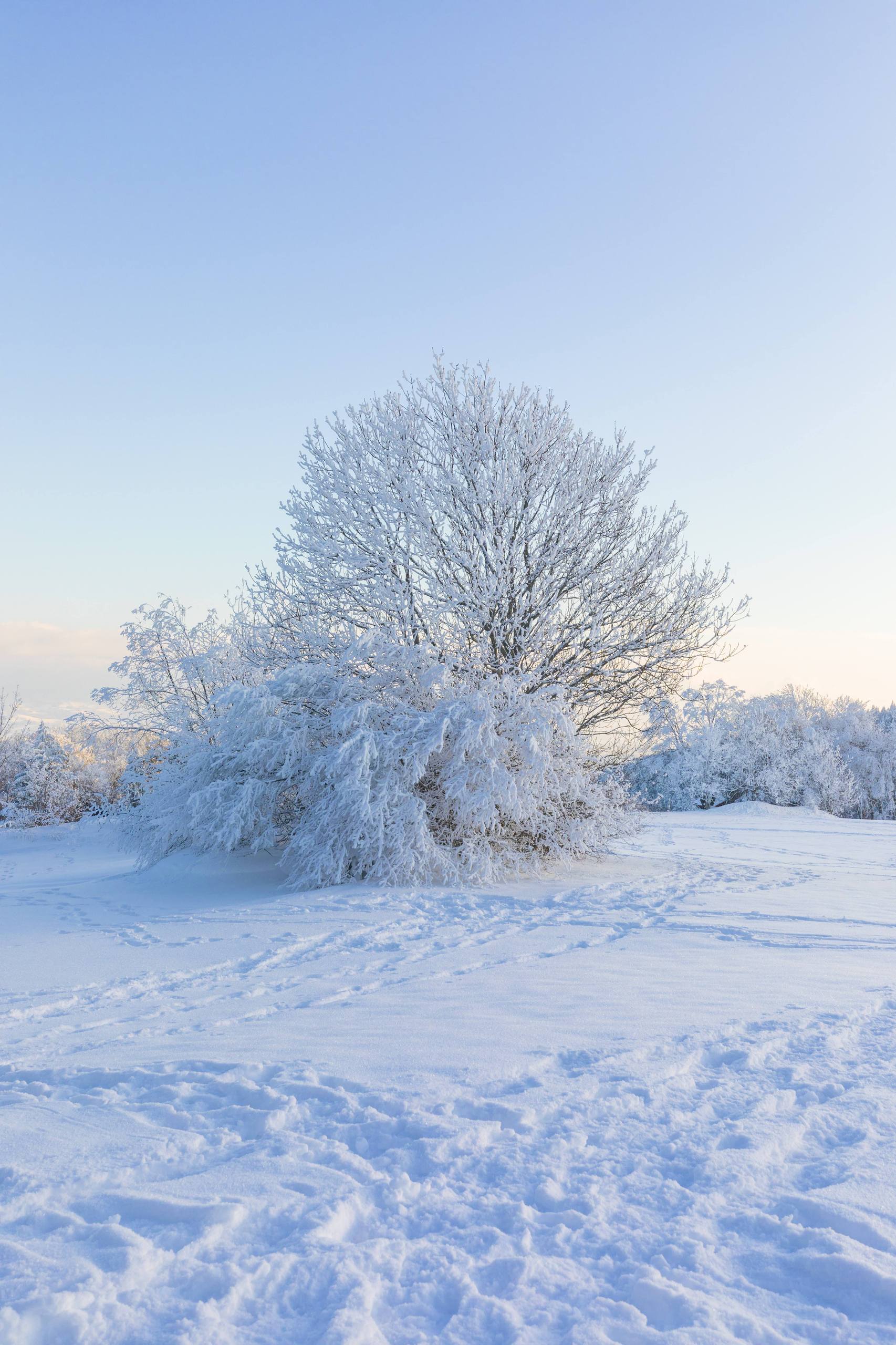 横版壁纸雪山壁纸预览