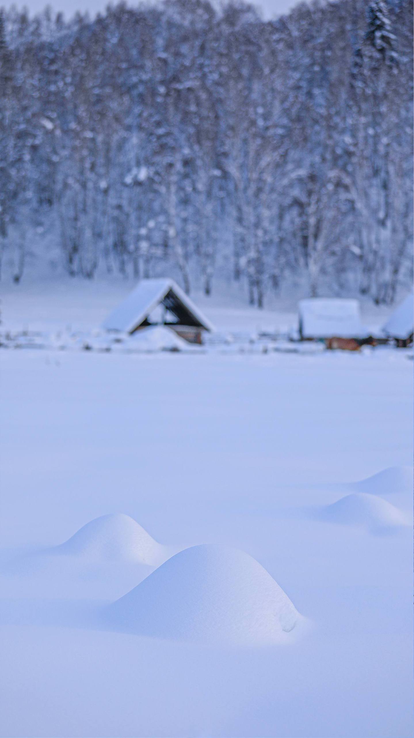 冰雪奇缘：雪山壁纸下的绝美角色详细内容1