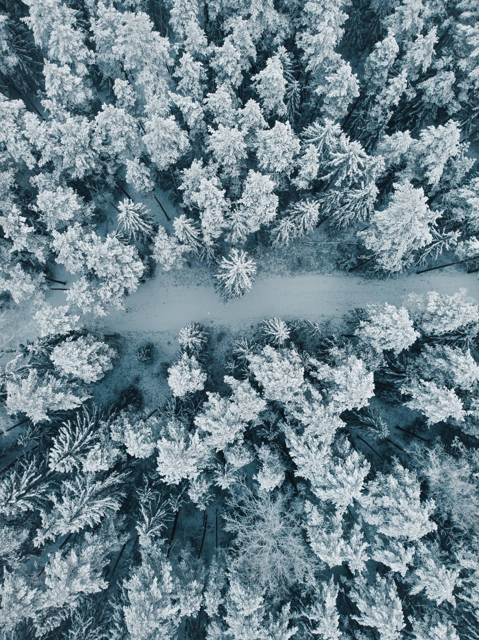 横版壁纸雪山壁纸预览