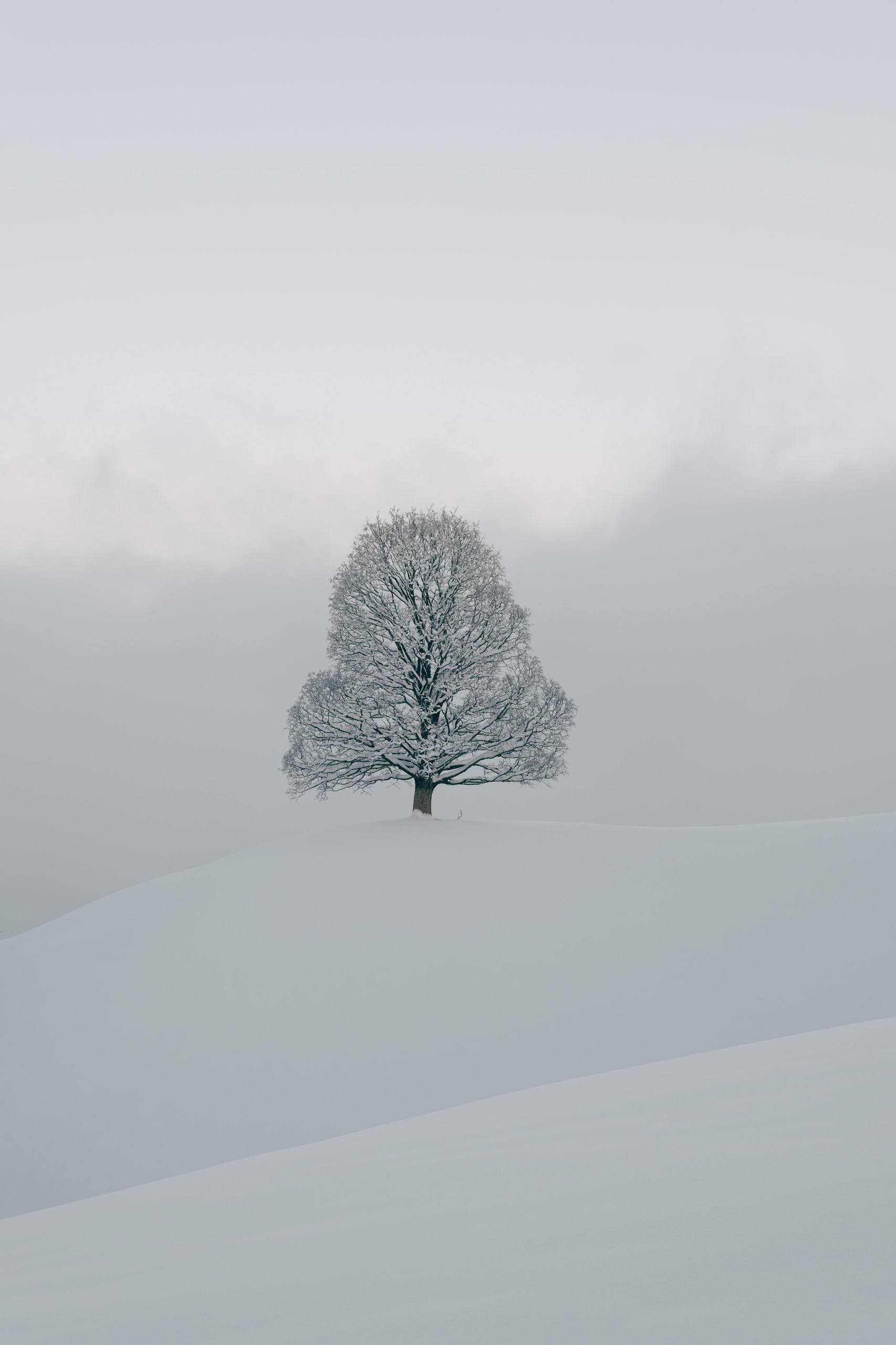 壁纸雪山自由壁纸预览