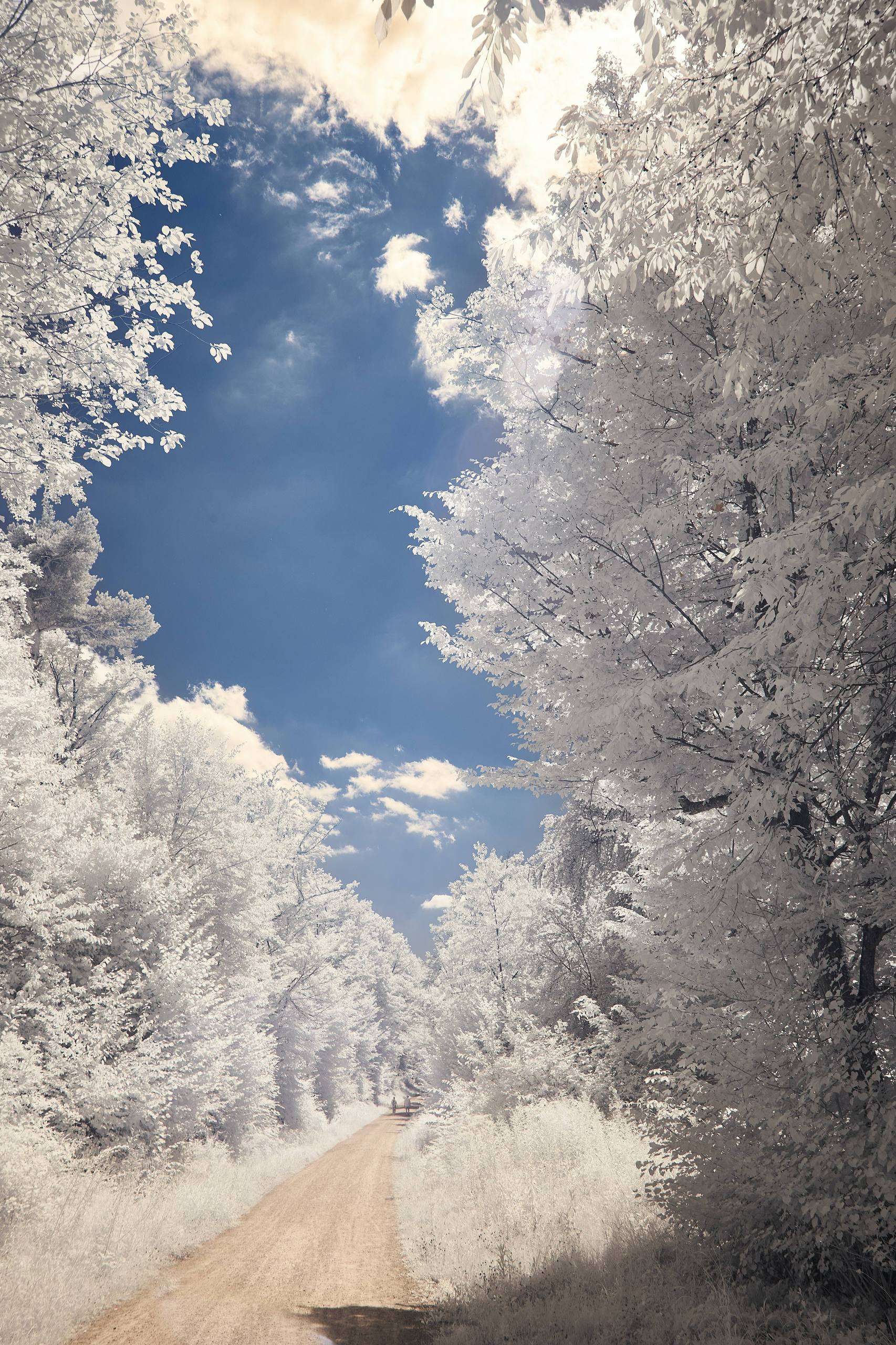 壁纸雪山自由壁纸预览