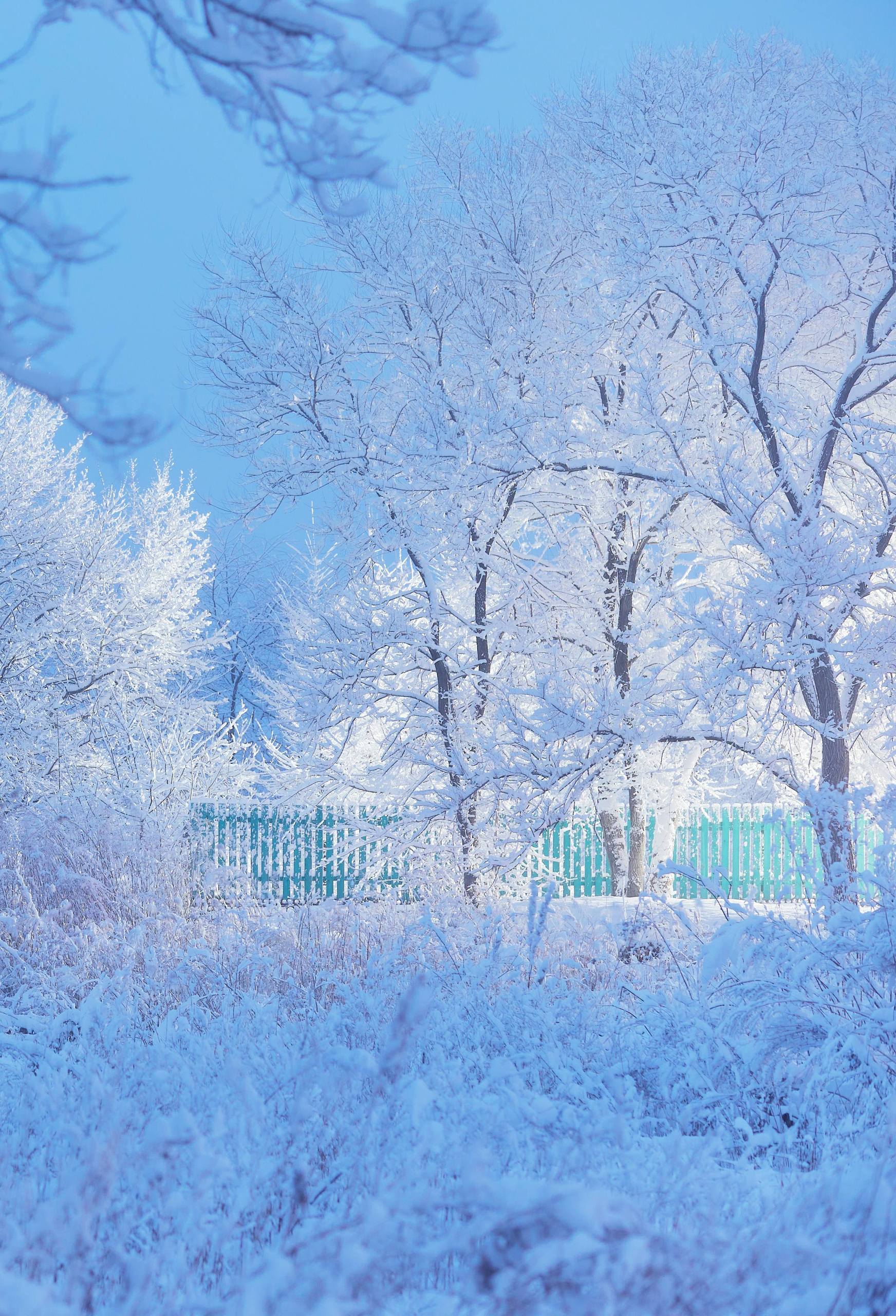 苹果景深壁纸雪山壁纸预览