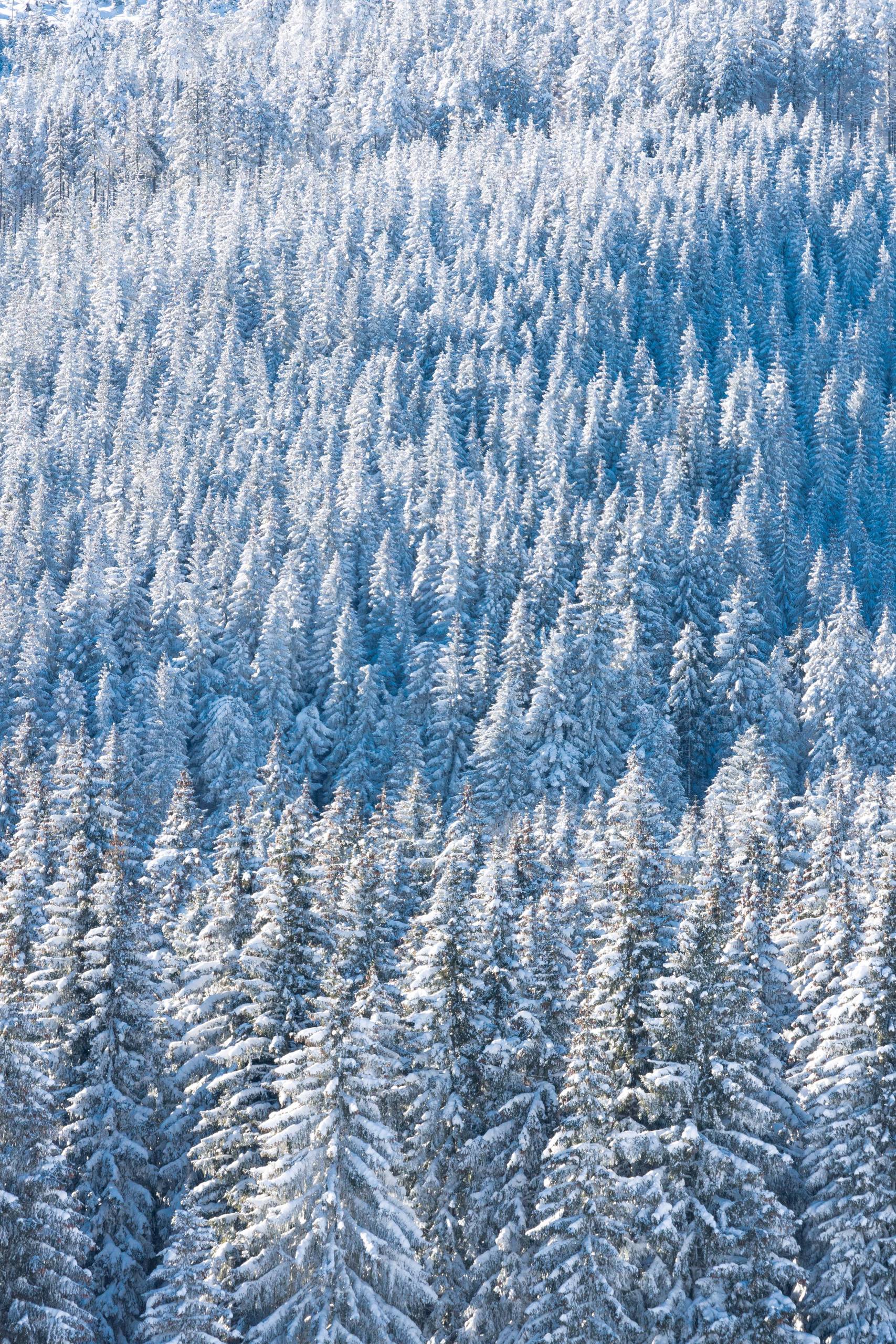 冰雪奇缘：横版壁纸中的古风雪山仙境详细内容2