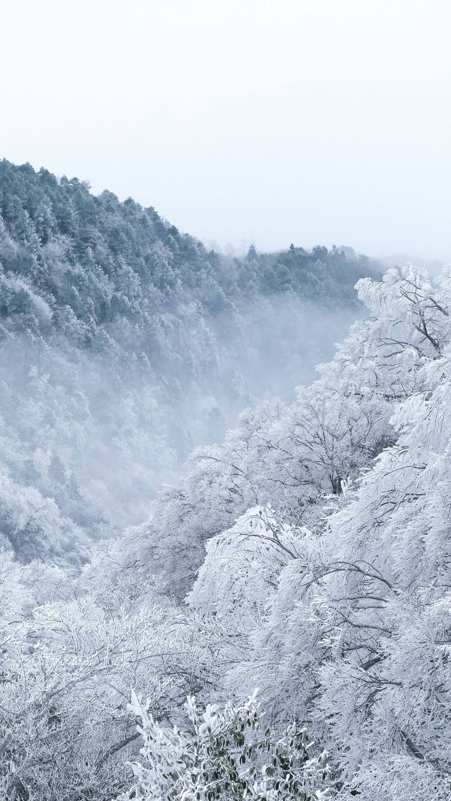 冰雪奇缘：壁纸中的自由之巅详细内容1