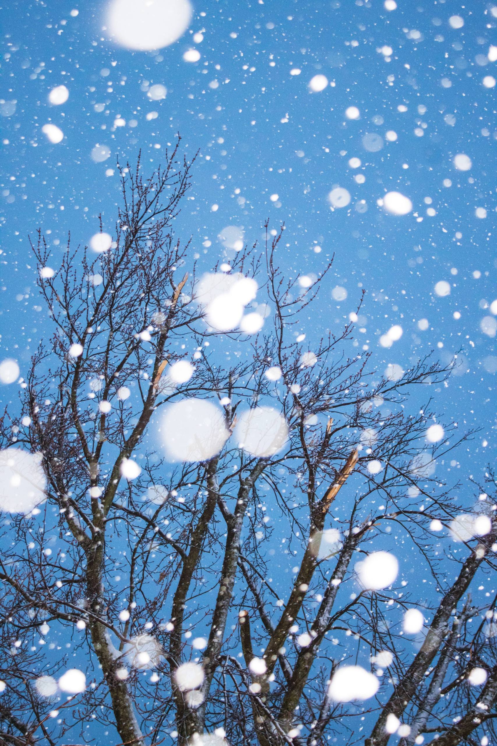 冰雪奇缘：壁纸雪山自由，解锁你的桌面新境界！详细内容2